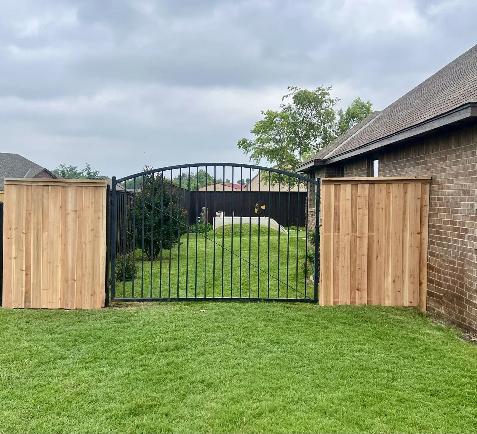 Cedar privacy fence with a custom black arched steel gate enclosing a green backyard, built by SWY Fencing